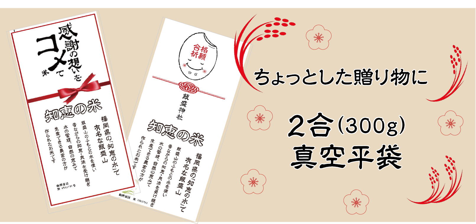 飯盛平袋2